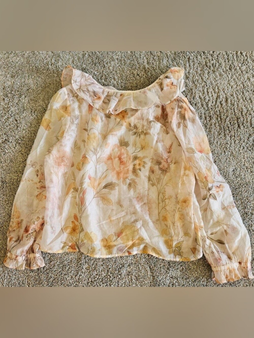 Lucky & Coco Sheer Floral Ruffle Collar Blouse - Pale Pink & Peach XL